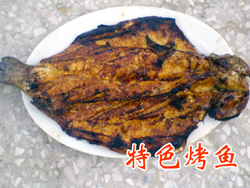 虹鱒魚一條溝你來我往民富客樂家