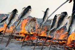 松山朝陽(yáng)溝農(nóng)家院
